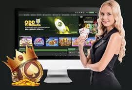 366bet login